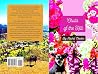 Chula of the Hill by Rachel Newton