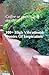 100+ High vibrational Quote...