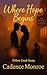 Where Hope Begins (The Willow Creek Series Book 1)