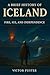 A Brief History of Iceland by Victor Fuster