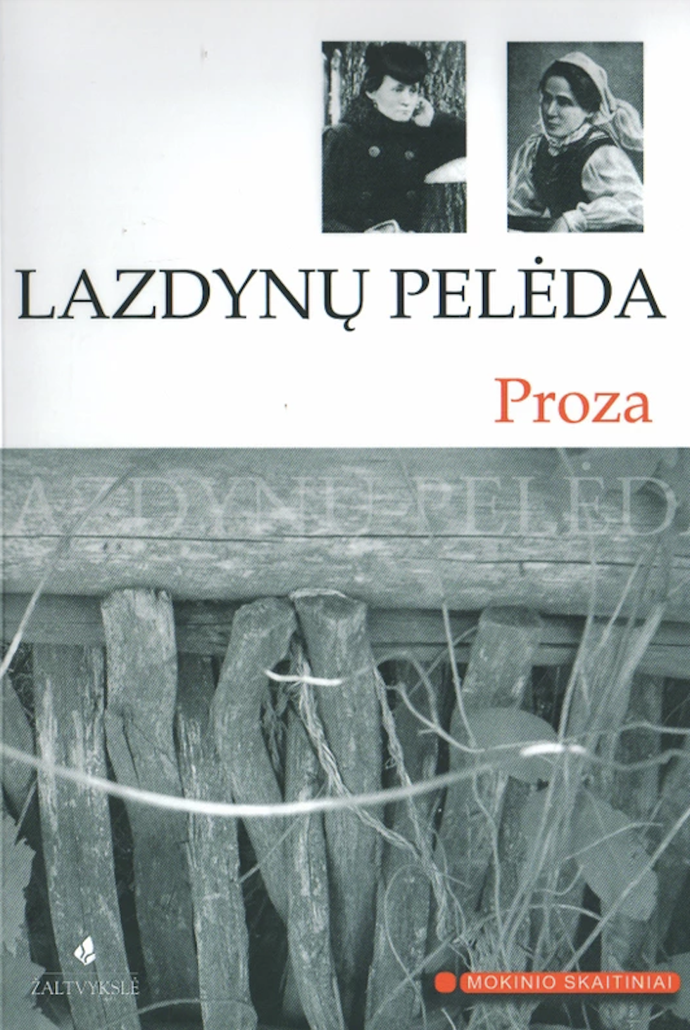 Proza (Paperback)