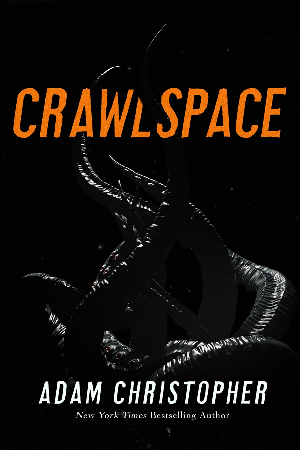 Crawlspace (Paperback)