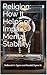 Religion How It Helps or Impairs Mental Stability "A Journey to Spiritual Wellness" by DeBorrah K. Ogans and Randall Ogans Sr.