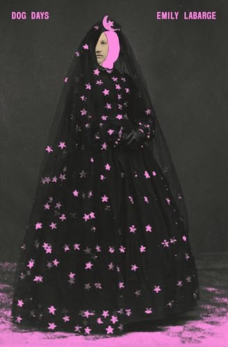 Dog Days (Paperback)