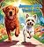 Journey of a Yorki-Poo by William Grothe