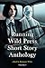 Running Wild Press Short Story Anthology, Volume 9 by Arindam Kalita