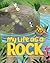 My Life As a Rock