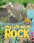 My Life As a Rock by Jeff Zwiers