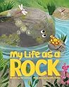 My Life As a Rock