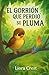 El gorrión que perdió su pluma