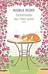 Camminando tra i ...