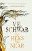 De heks van Near by Victoria Schwab