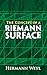 The Concept of a Riemann Surface (Dover Books on Mathematics)