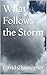 What Follows the Storm: An ...