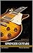 Springer Guitars - Histoire, Photos et Secrets d'une Lutherie... by Hervé Kolmayer