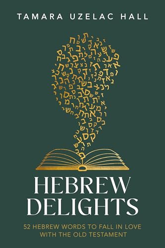 Hebrew Delights (Paperback)