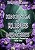 A Kingdom of Rune and Memories: The Darklight Chronicles