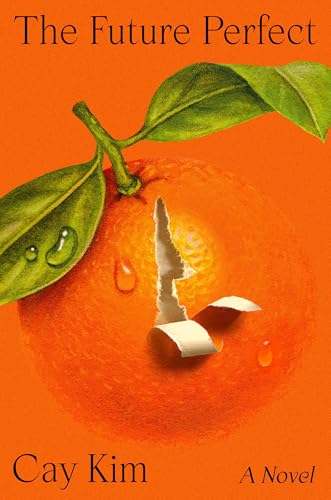 The Future Perfect (Hardcover)