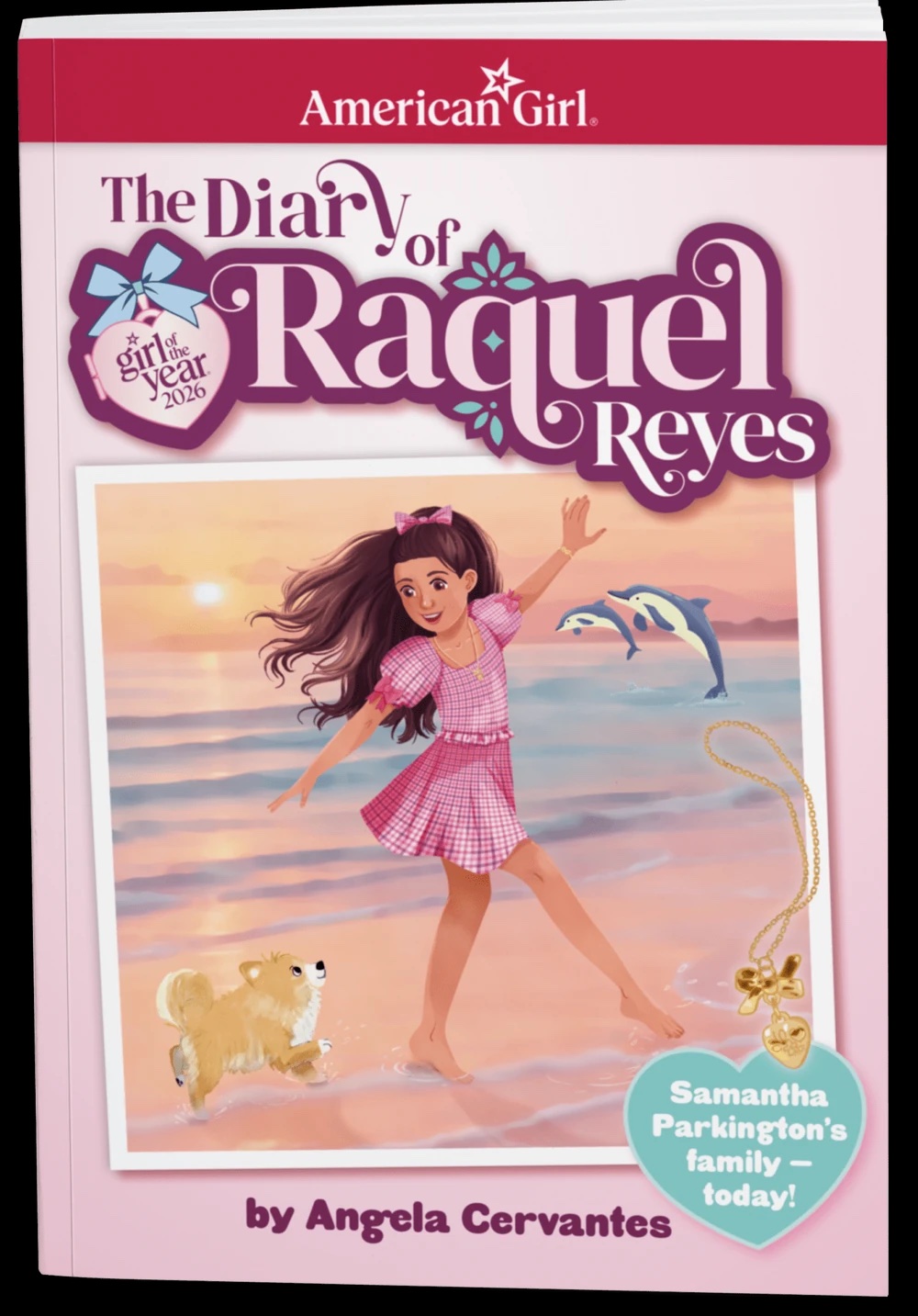 The Diary of Raquel Reyes (Paperback)