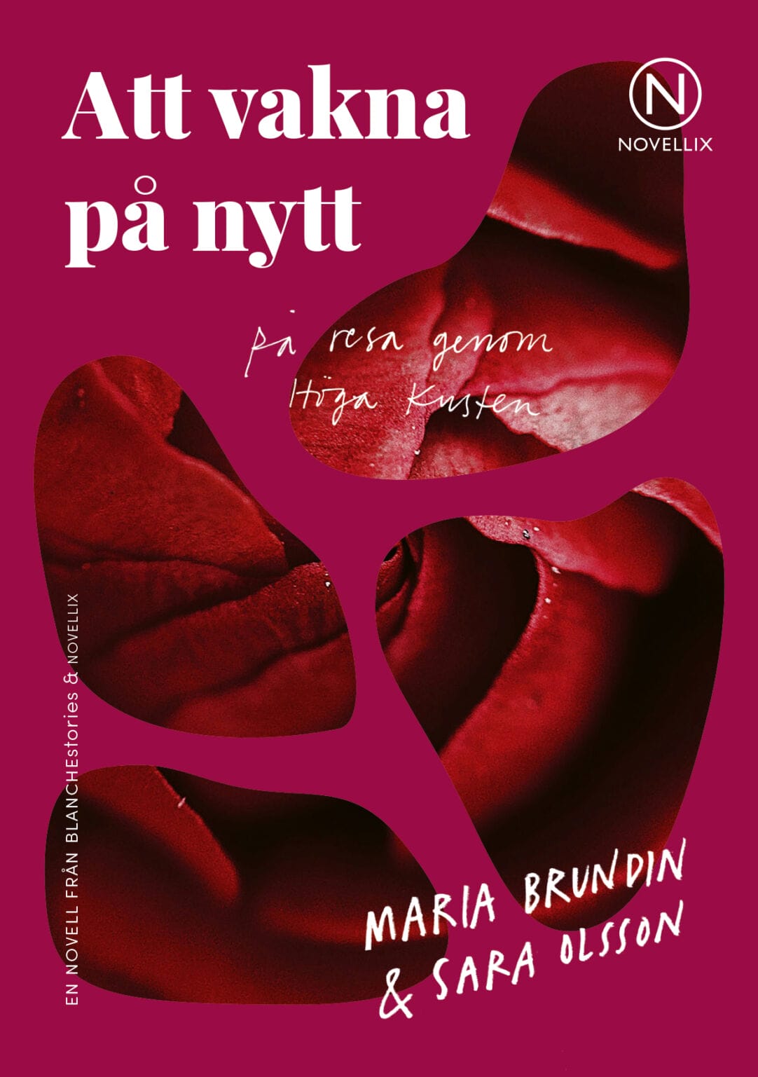 Att vakna på nytt – en resa genom höga kusten (Paperback)