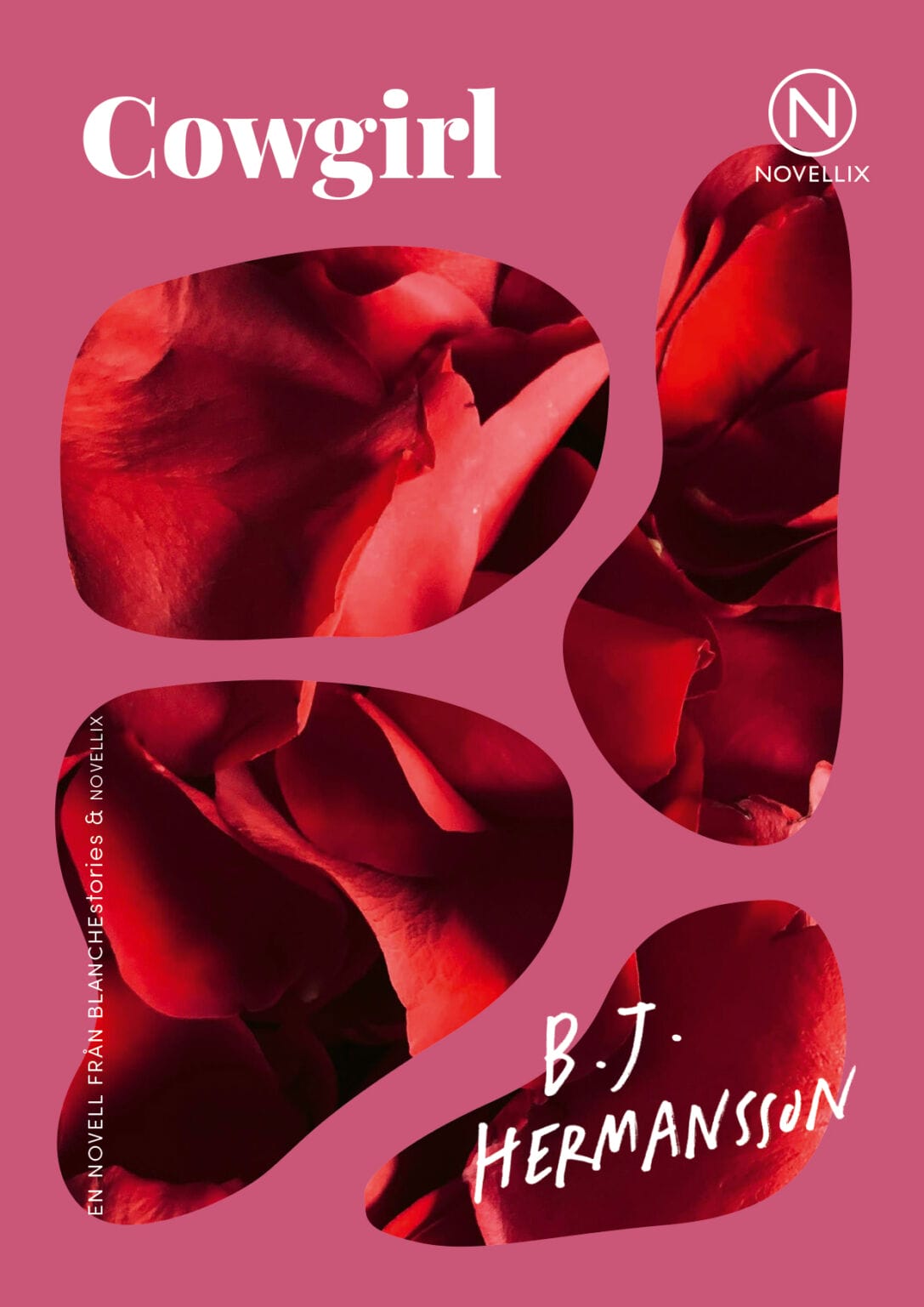 Cowgirl (Paperback)