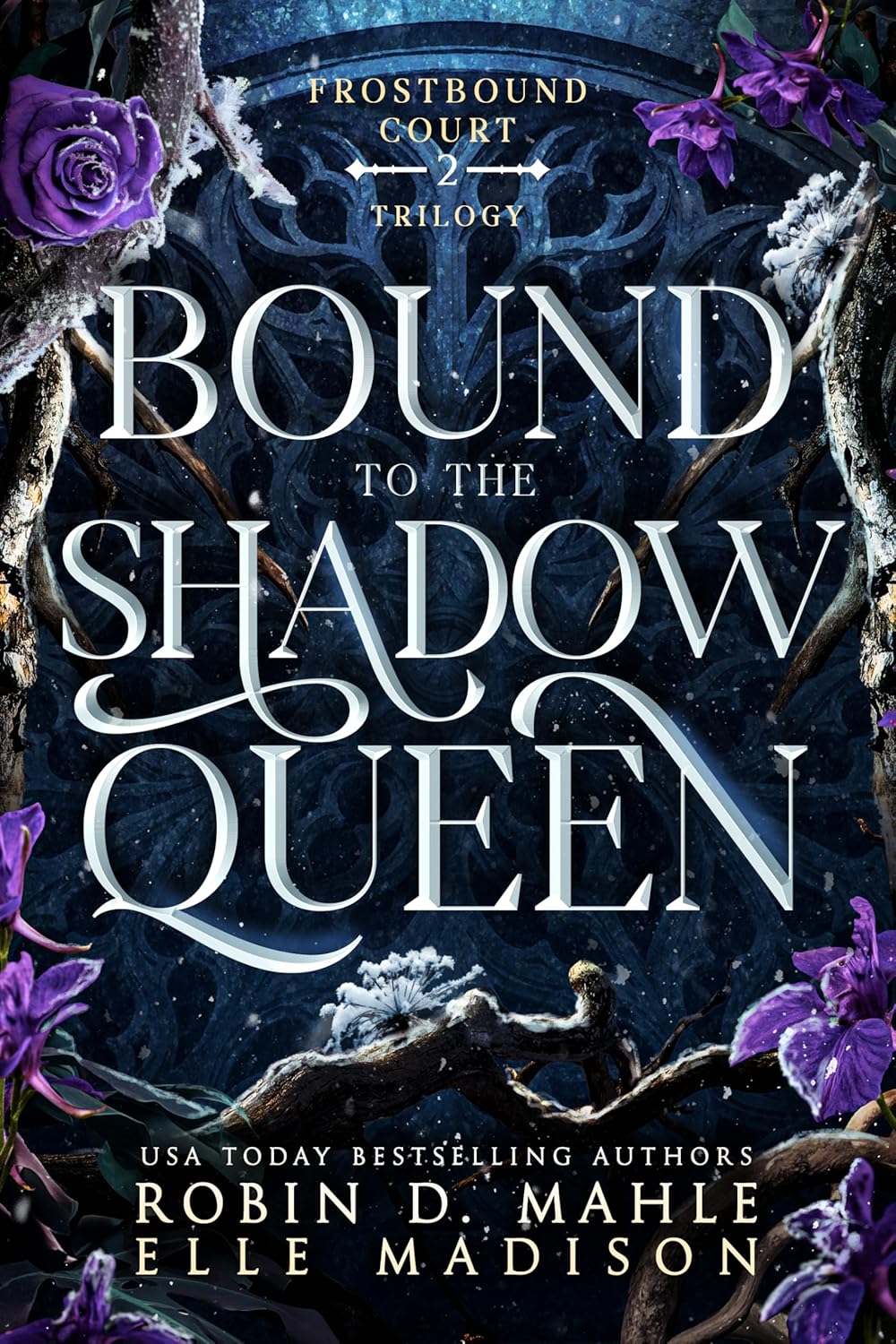Bound to the Shadow Queen (Frostbound Court #2)