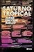 Saturno tropical (Spanish Edition)