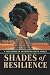 Shades of Resilience: A Chi...