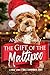 The Gift of the Maltipoo by Andrew Grey