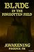Blade In The Forgotten Fiel...