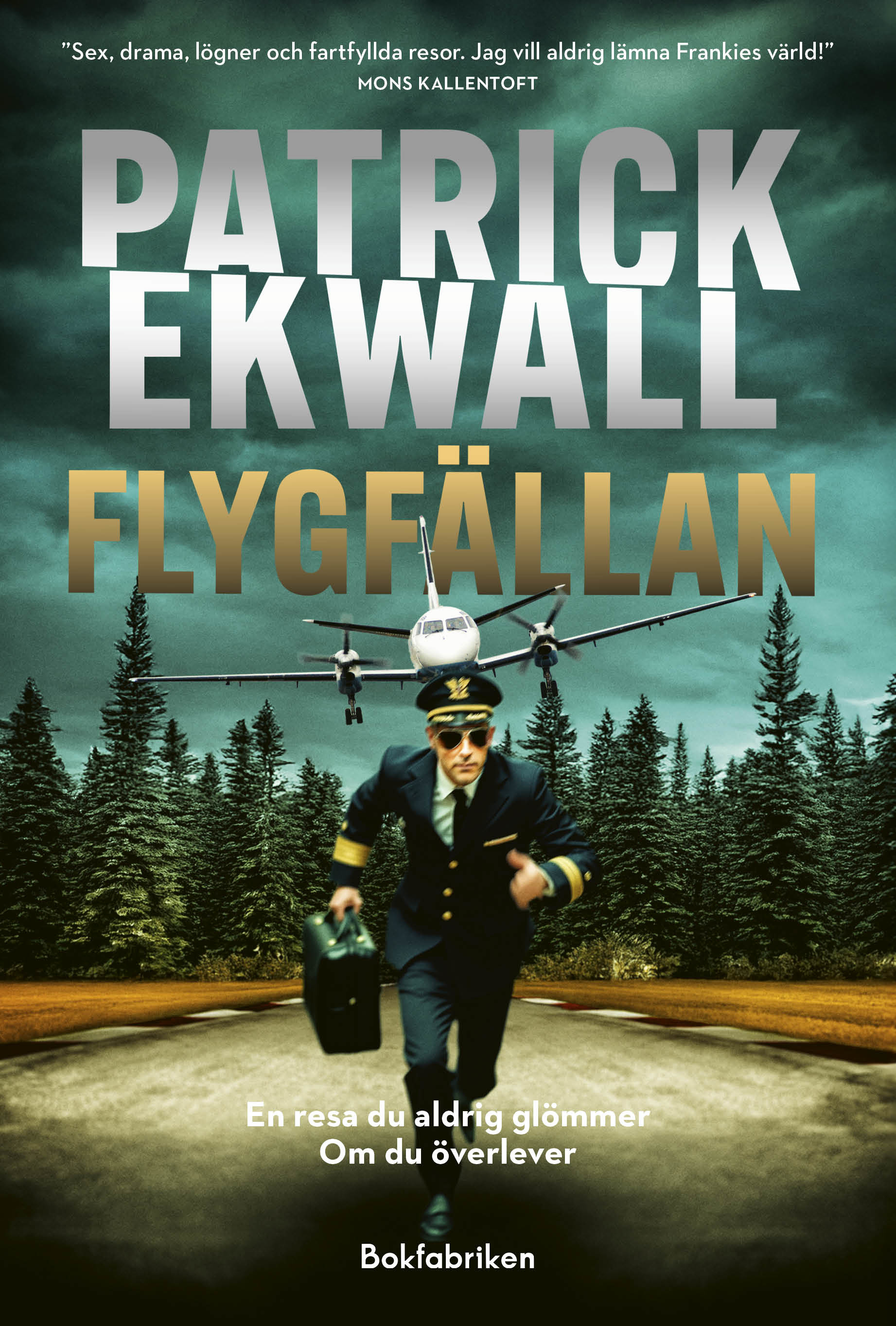 Flygfällan (Frankie Larsson, #3)