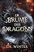 La brume des dragons by L.N. Winter