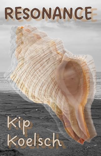 RESONANCE (Kindle Edition)