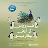 طاووس في أرض البط...