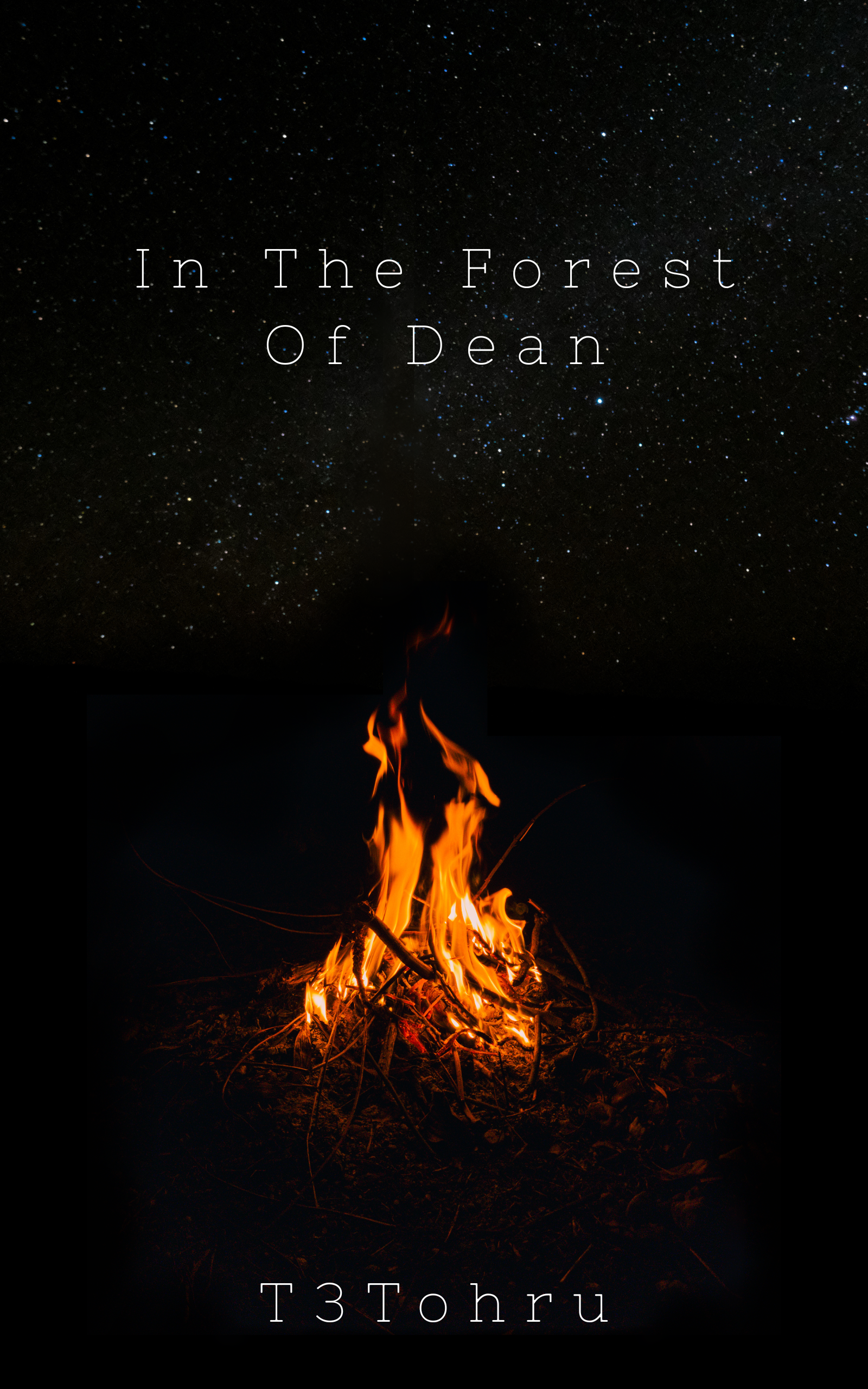 In the Forest of Dean