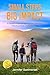 Small Steps, Big Impact by Jennifer Summerset