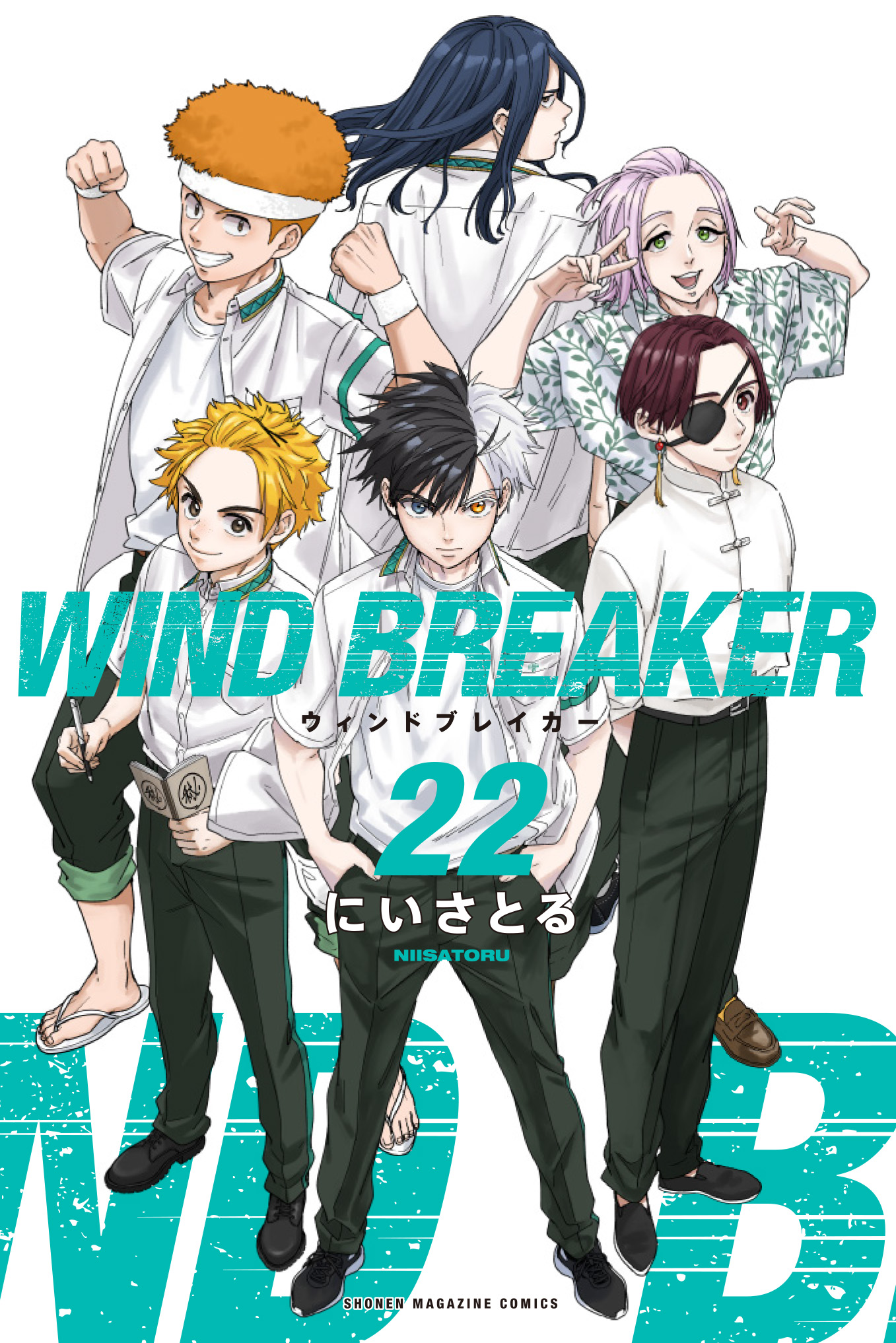 Wind Breaker 22 (Paperback)