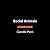 Social Animals