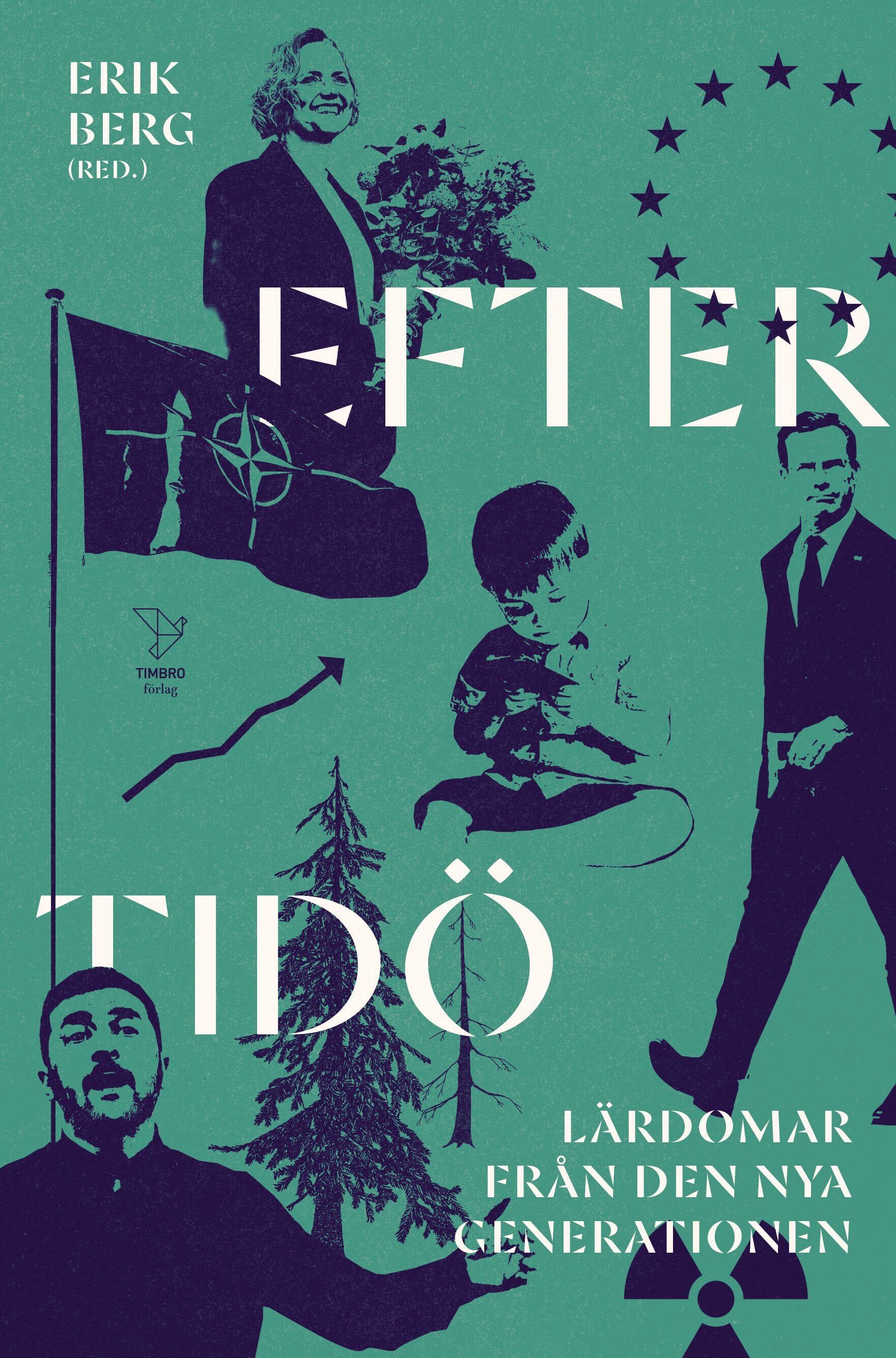 Efter Tidö : lärdomar från den nya generationen (Paperback)