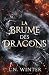 La brume des dragons