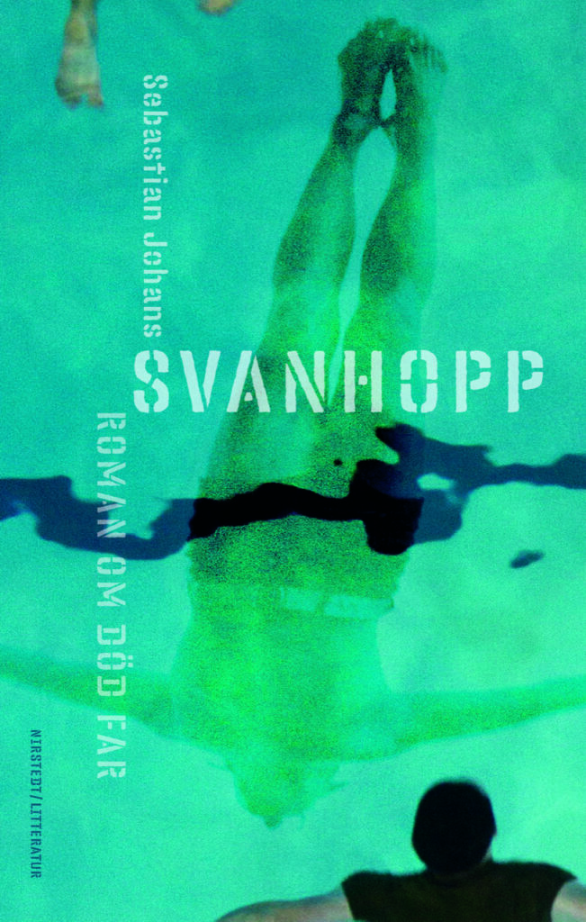 Svanhopp: roman om död far (Hardcover)
