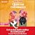 Chats sur ordonnance (Chats sur ordonnance, #1)