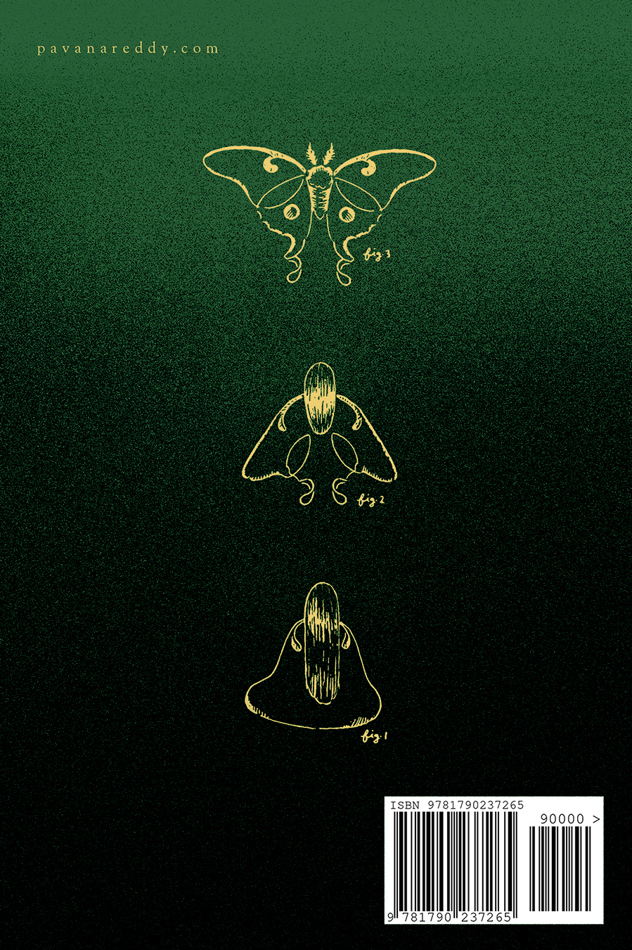 Without Darkness (Paperback)