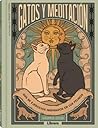 GATOS Y MEDITACIO...