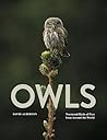 Owls: Nocturnal B...