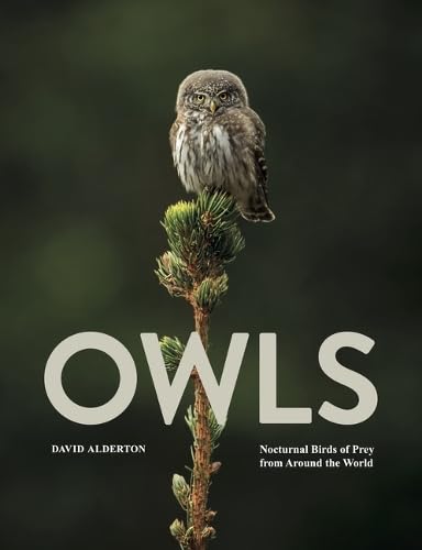 Owls: Nocturnal Birds of Prey from Around the World (Animals in Photographs)