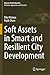 Soft Assets in Smart and Resilient City Development