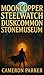 Mooncopper Steelwatch Duskcommon Stonemuseum by Cameron Parker