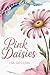 Pink Daisies