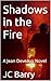 Shadows in the Fire by JC Barry